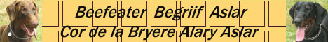 Grif_a_cor_banner.jpg