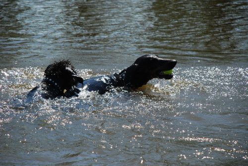 Prochazka_1_srpna_2009_se_Zevlakem_10.JPG