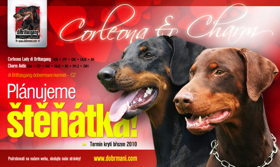 Stenatka_Brittasgang_2010_cz_web_male.jpg