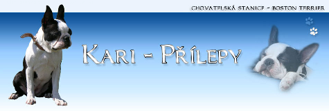 banner_Kari_Prilepy_a.bmp banner_Kari_Prilepy_a.bmp