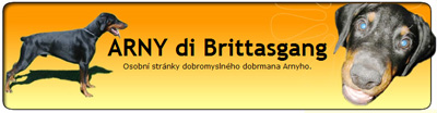 banner_arny.jpg banner_arny.jpg