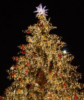 Vánoční strom 2009 na Staroměstském náměstí